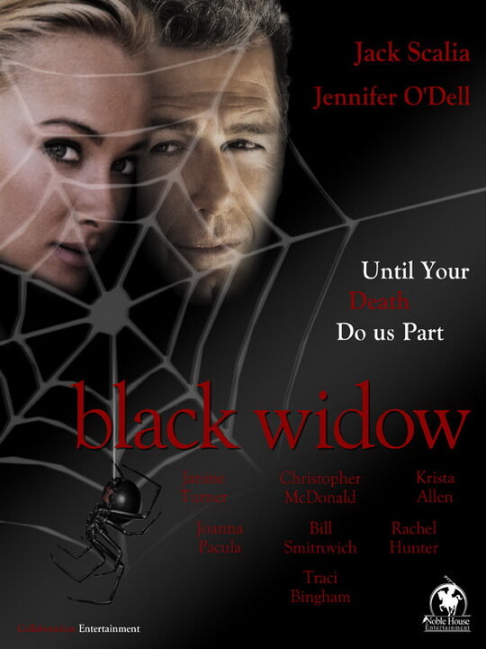 Чёрная вдова (2010) постер