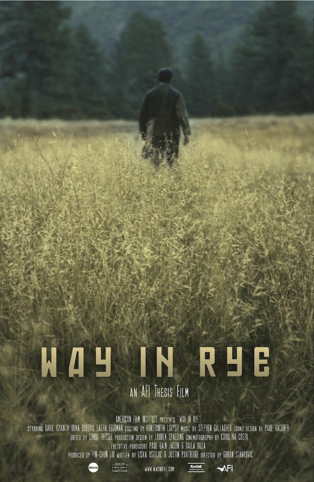 Путь во ржи (2013) постер