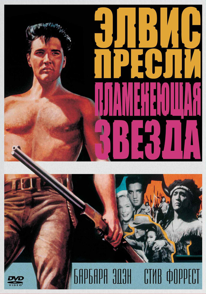 Пламенеющая звезда (1960) постер