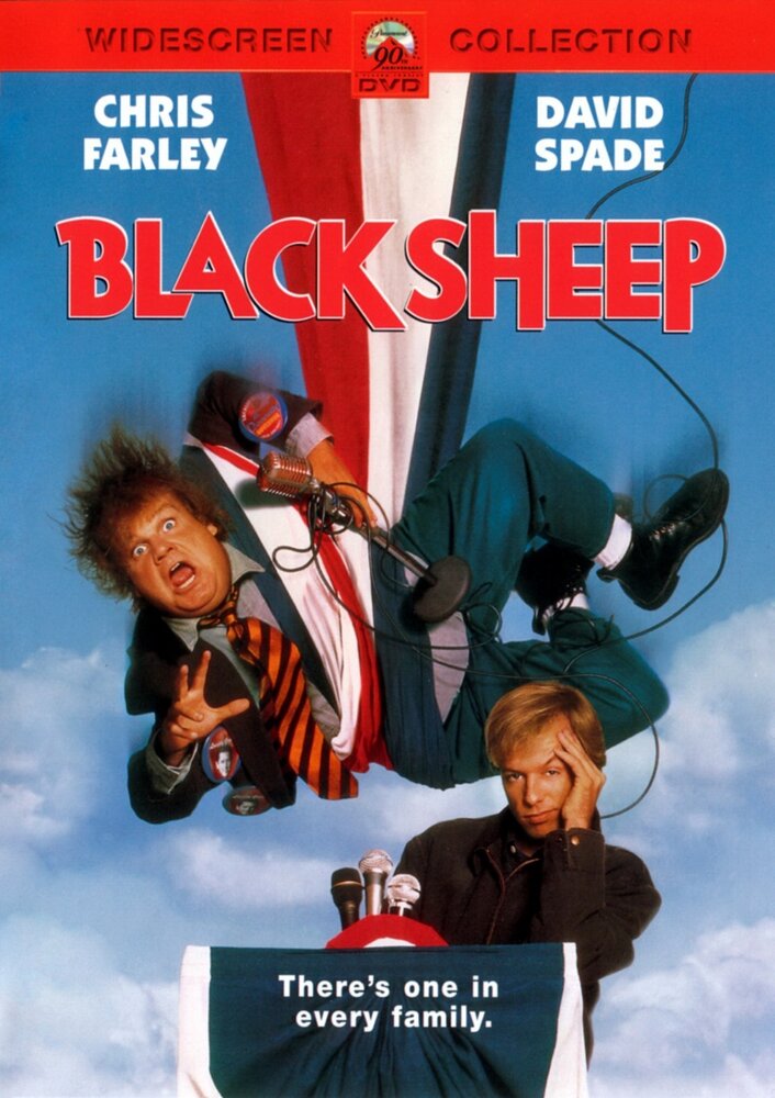 Паршивая овца (1996) постер