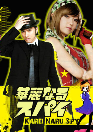 Великолепный шпион (2009) постер