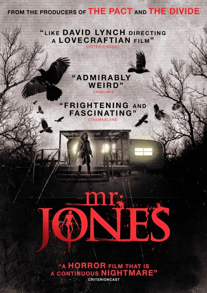 Мистер Джонс (2013) постер