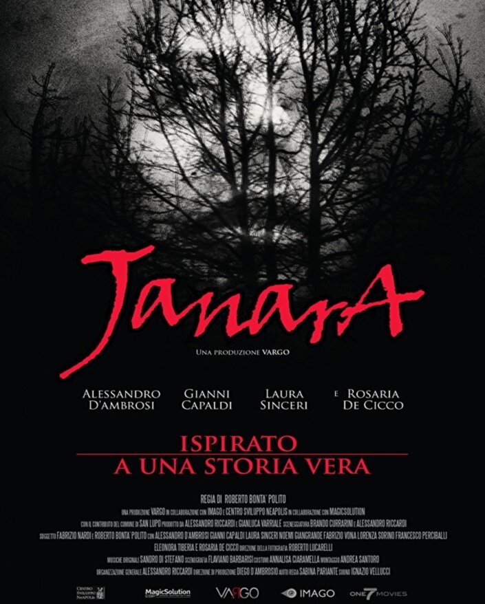 Джанара (2015) постер