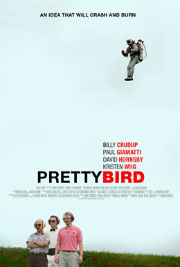 Пташка (2008) постер