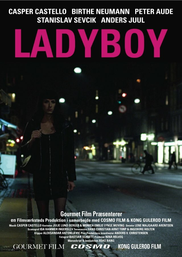Ladyboy (2011) постер