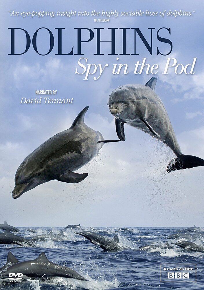 Дельфины скрытой камерой (2014) постер