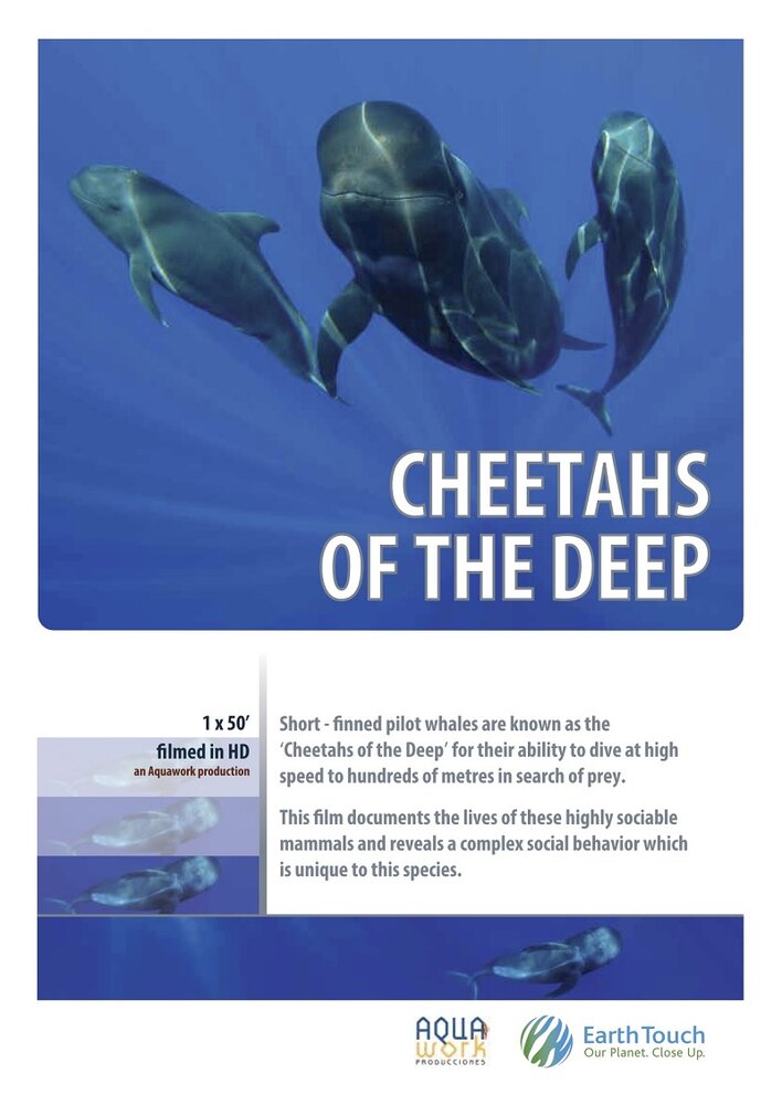 Дельфины – гепарды морских глубин (2014) постер