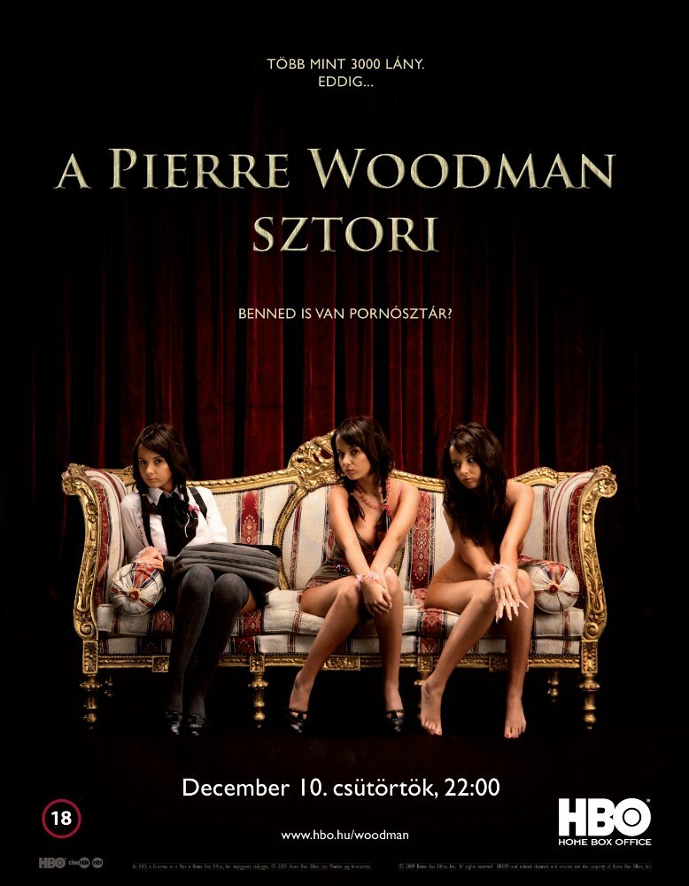 История Пьера Вудмана (2009) постер