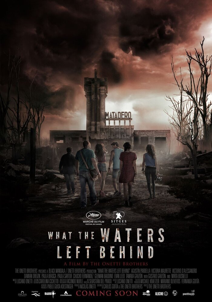 Что воды оставили позади (2017) постер