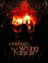 Что-то не так в Канзасе (2008) постер