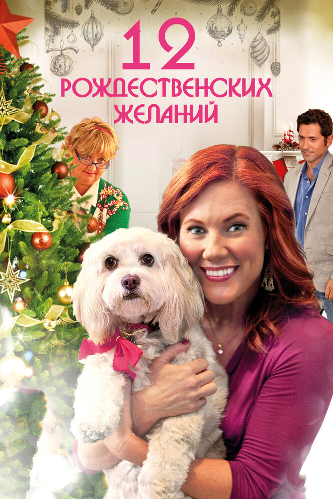 12 Рождественских желаний (2011) постер