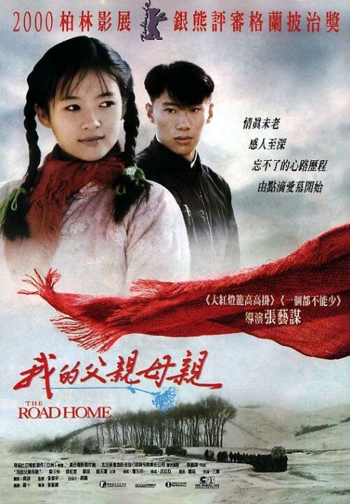 Дорога домой (1999) постер