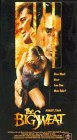 Большая заваруха (1991) постер