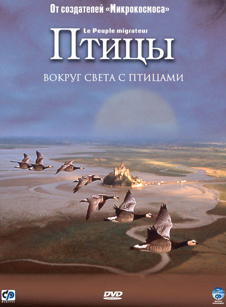 Птицы (2001) постер