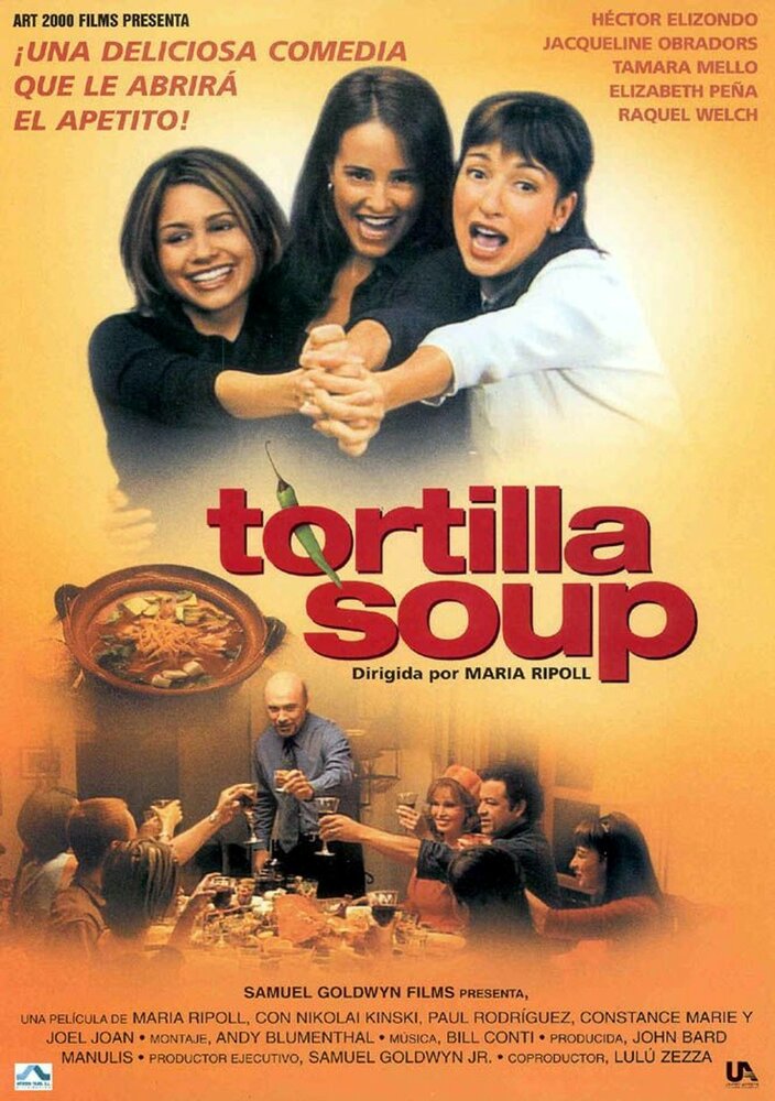 Черепаховый суп (2001) постер
