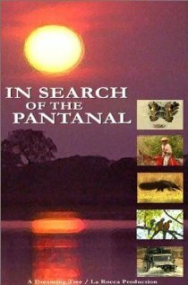In Search of the Pantanal (2000) постер