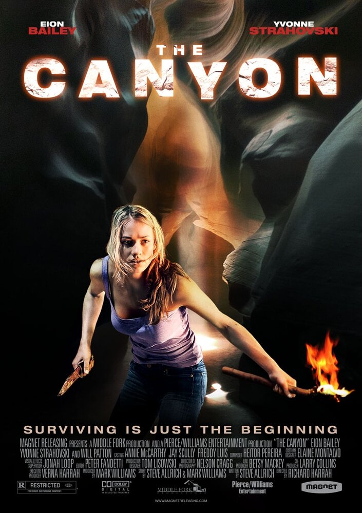Каньон (2009) постер