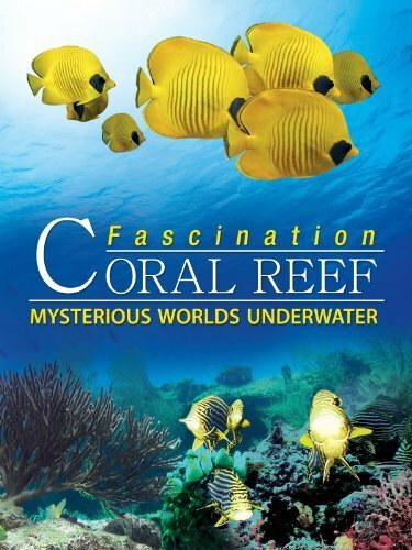 Коралловый риф: Удивительные подводные миры (2012) постер