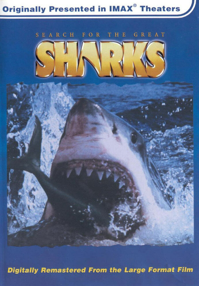 В поисках больших акул (1995) постер