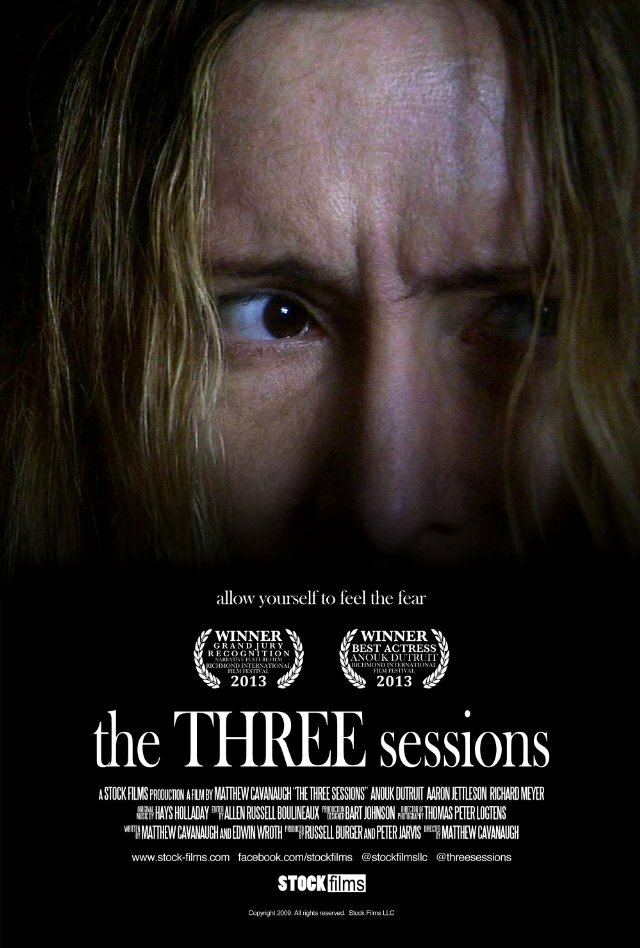 The Three Sessions (2013) постер