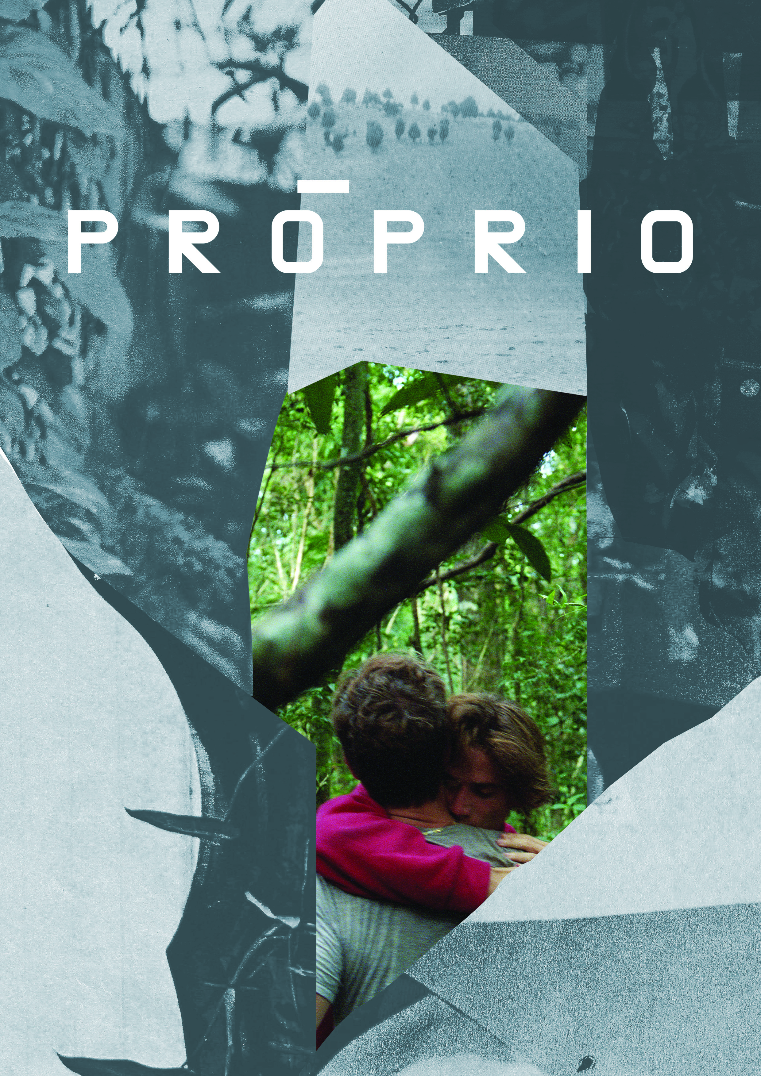 Próprio (2020) постер