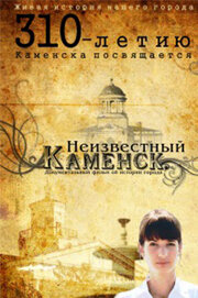 Неизвестный Каменск (2011) постер