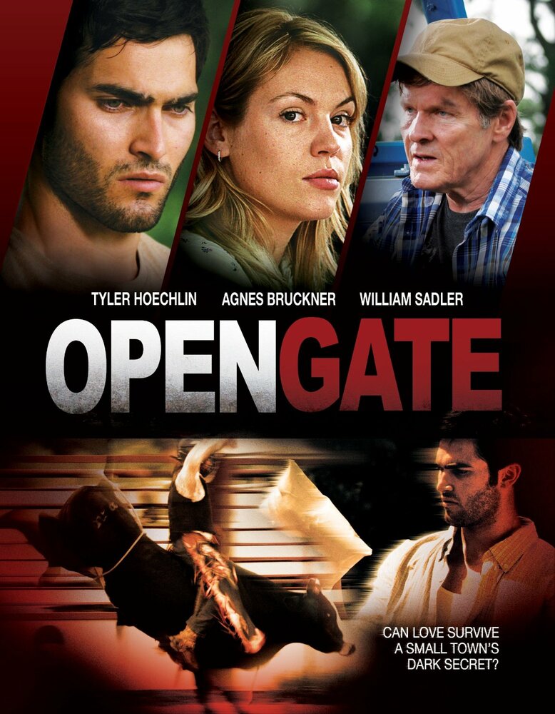 Открытые ворота (2011) постер