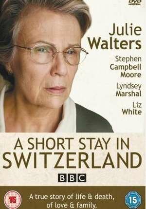 Остановка в Швейцарии (2009) постер