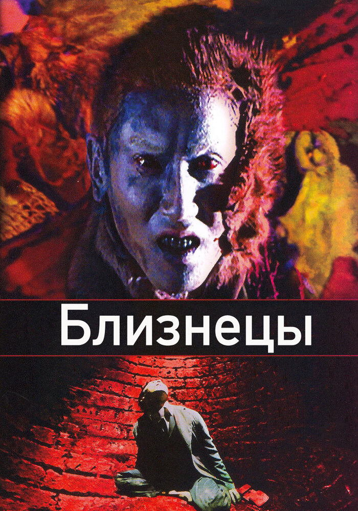 Близнецы (1999) постер