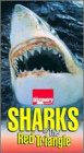 Акулы Красного треугольника (1995) постер